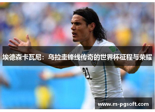 埃德森卡瓦尼：乌拉圭锋线传奇的世界杯征程与荣耀
