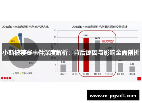 小斯被禁赛事件深度解析：背后原因与影响全面剖析